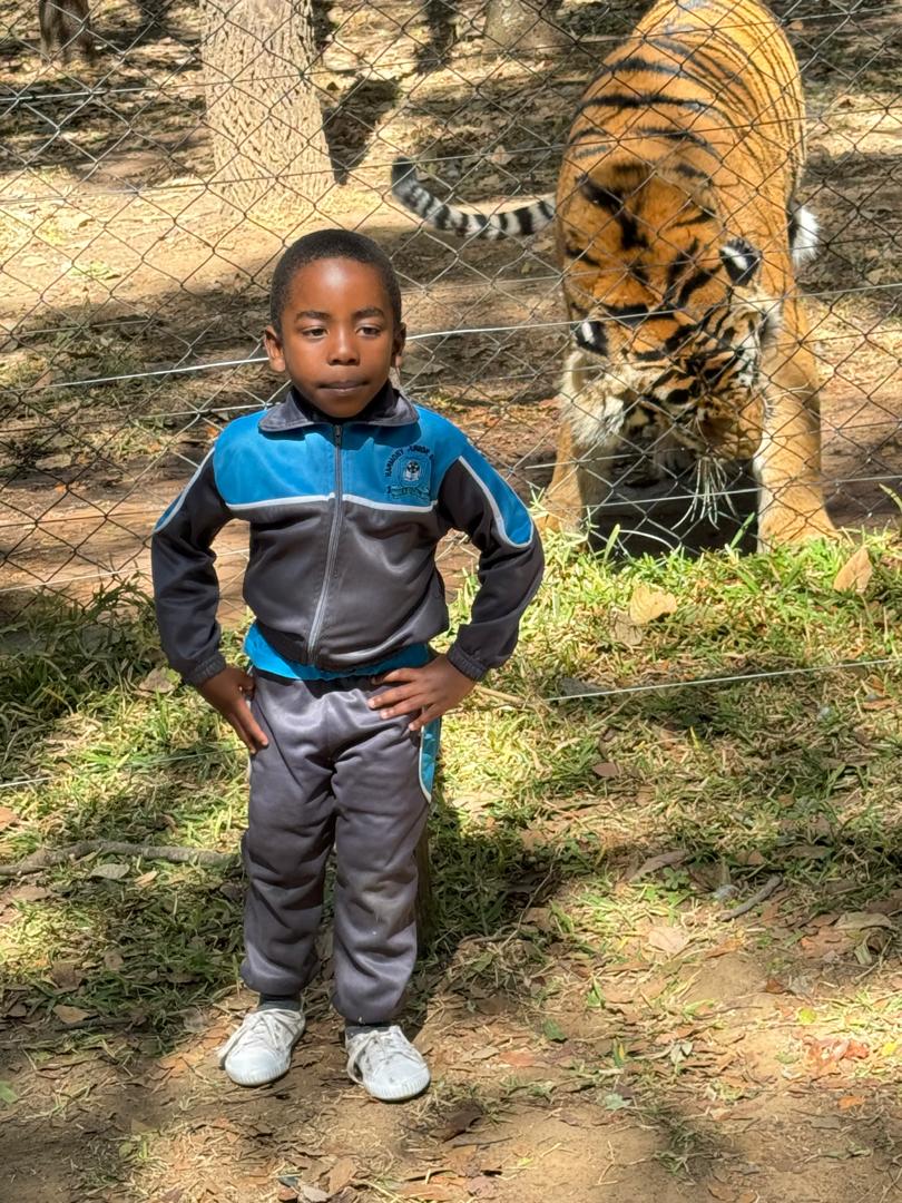 Harmony Junior School